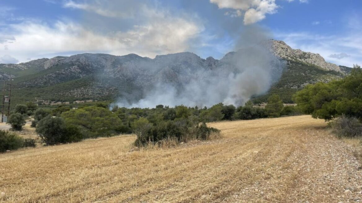 Φωτιά στα Μέγαρα, σηκώθηκε και ελικόπτερο για την κατάσβεση - Βίντεο