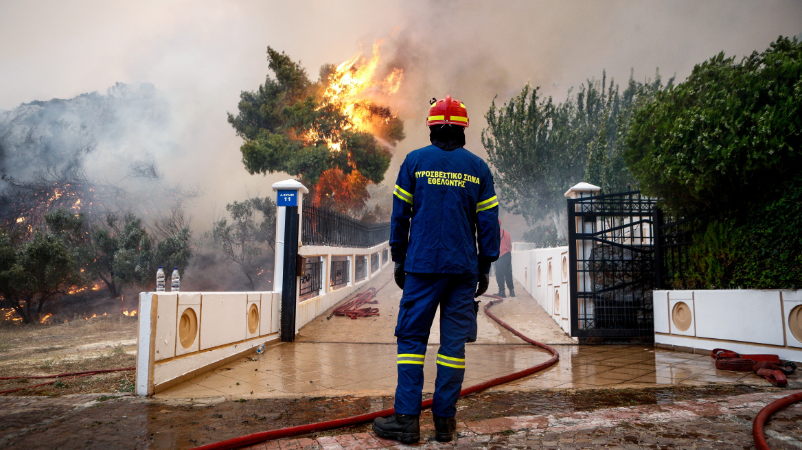 Νέος κανονισμός πυροπροστασίας: Υπό το φόβο των προστίμων οι ιδιοκτήτες ξεριζώνουν ακόμα και δέντρα από τα οικόπεδά τους