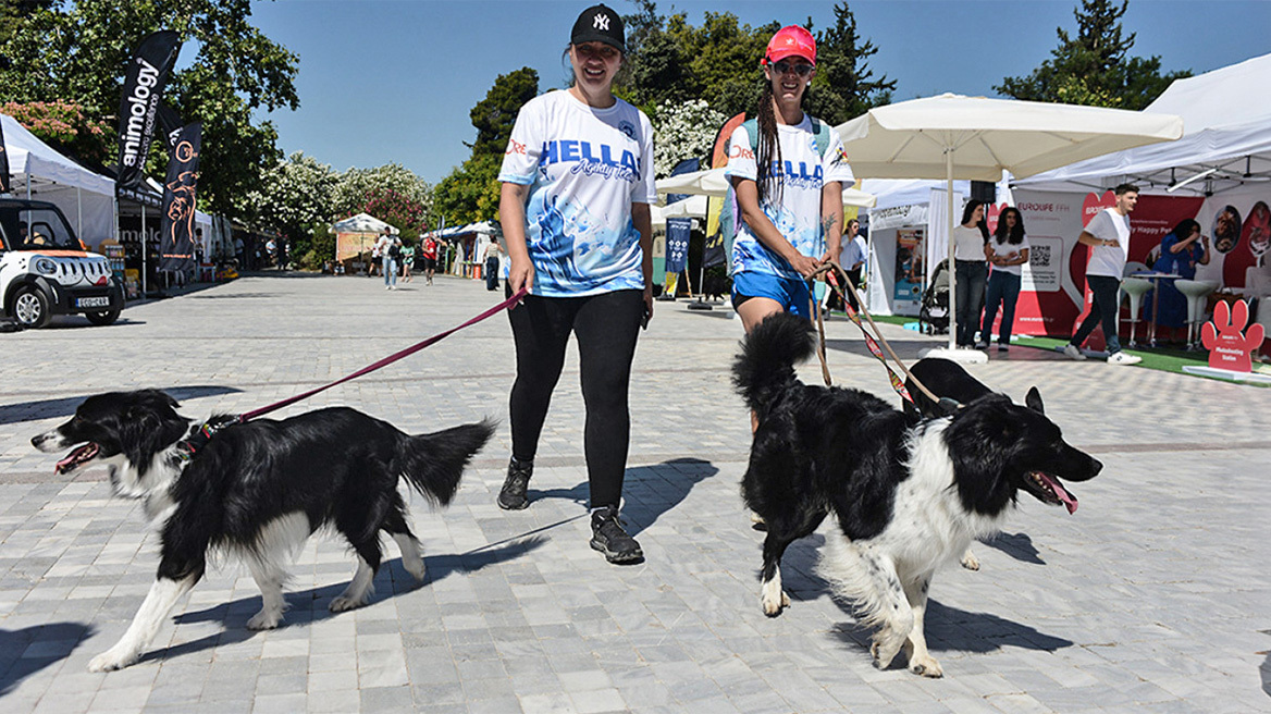 Woof Festival στο Πεδίον του Άρεως: Η μεγάλη γιορτή της φιλοζωίας στο κέντρο της Αθήνας από topetmou.gr