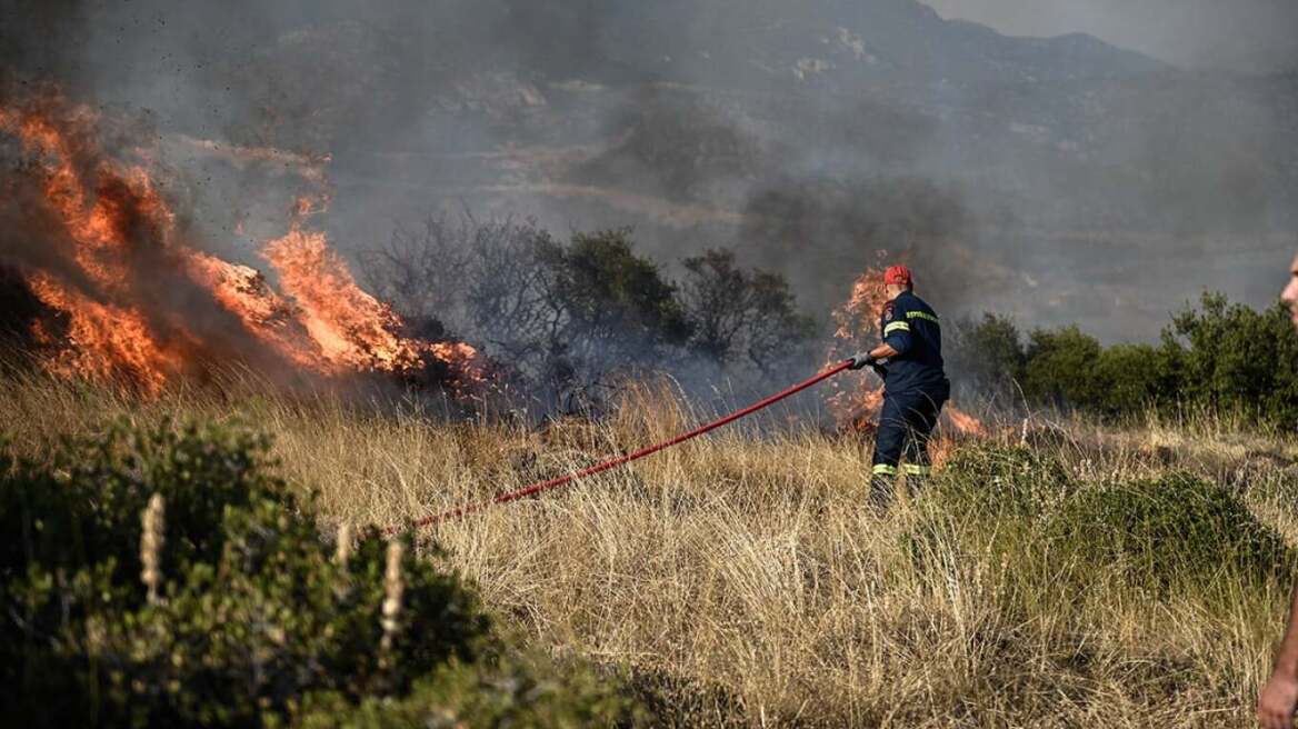 Πυροσβεστική: Στις 31 οι πυρκαγιές σε όλη την χώρα το τελευταίο 24ωρο - Πολύ υψηλός ο κίνδυνος αύριο