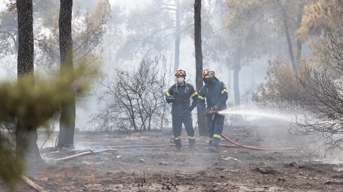 Καιρός: Ανησυχία για τον συνδυασμό Hot-Dry-Windy - Συναγερμός για δασικές πυρκαγιές