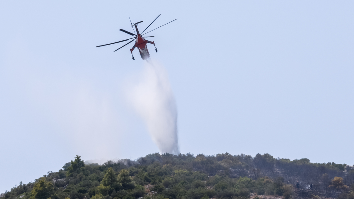 Υπό μερικό έλεγχο η φωτιά στο Μοναστηράκι Αλεξανδρούπολης