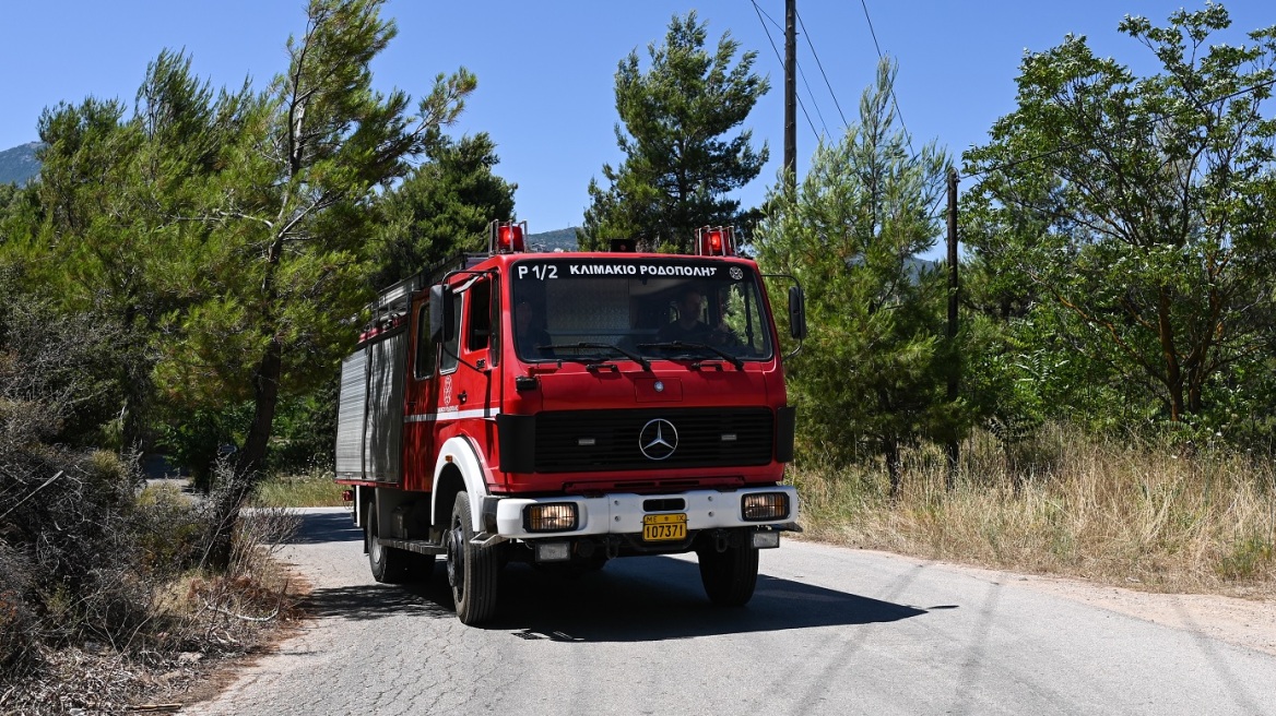 Καιρός: Επικίνδυνο κοκτέιλ για δασικές πυρκαγιές από τις υψηλές θερμοκρασίες, την ξηρασία και το μελτέμι