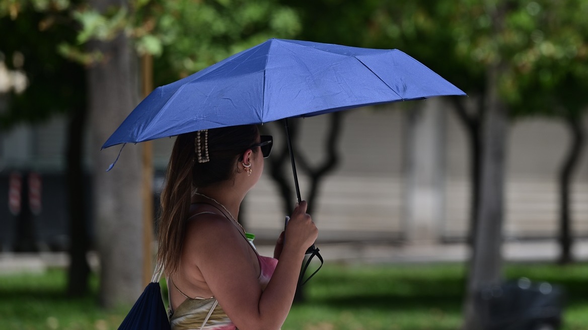 Καιρός - Κολυδάς: Δυνατό μελτέμι, ζέστη και ξηρασία την Παρασκευή - Μεγάλος ο κίνδυνος για εκδήλωση πυρκαγιάς