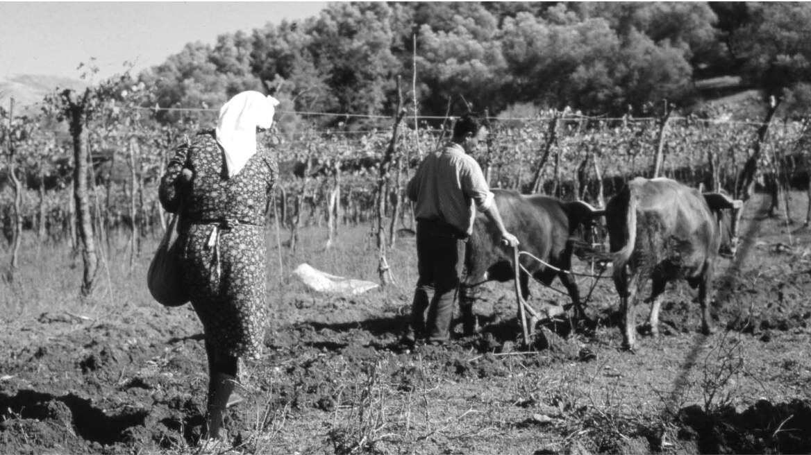 Ηλεία, 1960: Ο Γιάννης ο φονιάς που σκότωσε με επτά μαχαιριές την άπιστη γυναίκα του