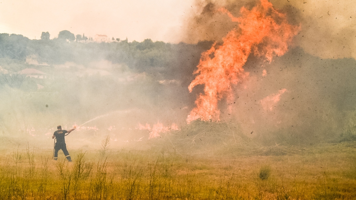 Φωτιές στην Ηλεία: Προϊόν εμπρησμού, λέει ο δήμαρχος Πύργου - Ξέσπασαν 4 εστίες σε απόσταση ενός χιλιομέτρου