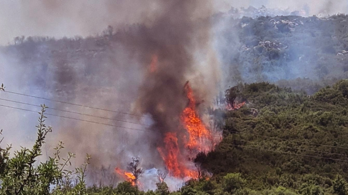 Μάχη σε διαδοχικά πύρινα μέτωπα - 45 πυρκαγιές ξέσπασαν από το πρωί  - Μηνύματα από το 112 σε 11 περιοχές 