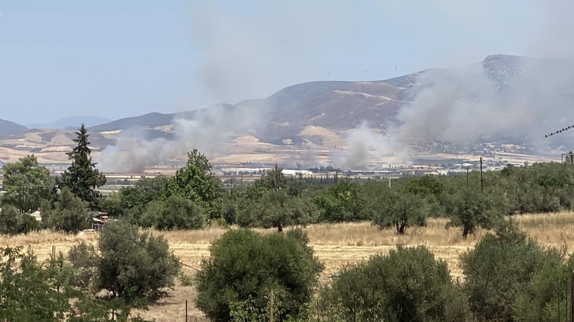 Δύο φωτιές σε εξέλιξη στη Θήβα - Πρόβλημα με την ηλεκτροδότηση στον σιδηρόδρομο, αναμένονται καθυστερήσεις