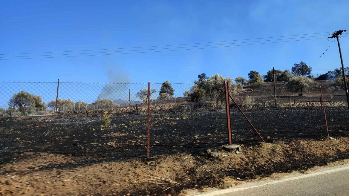 Ανυπολόγιστες ζημιές σε καλλιέργειες από τη φωτιά στο Κρανίδι Αργολίδας - Σε επιφυλακή για αναζωπυρώσεις