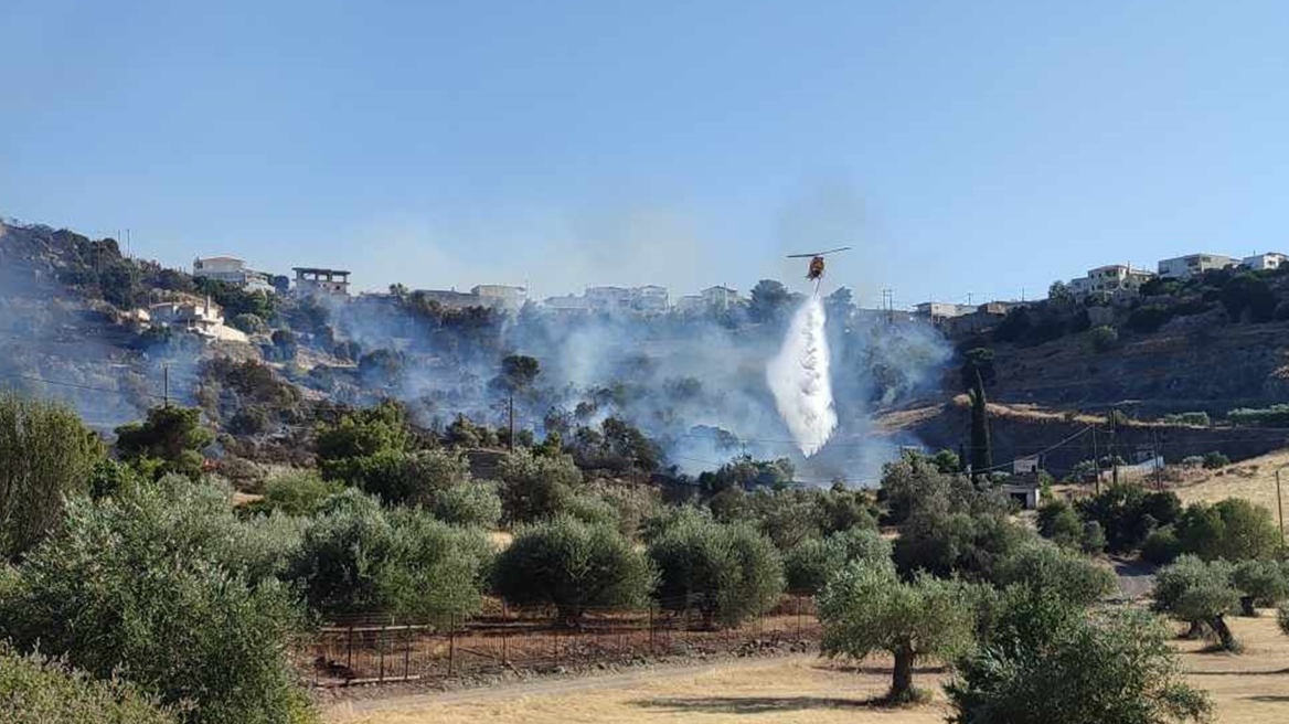 Χωρίς ενεργό μέτωπο η πυρκαγιά στην Ηλεία - Μάχη με τις διάσπαρτες εστίες σε Λάττα και Πρόδρομο