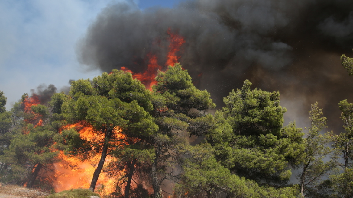 Φωτιά σε αγροτοδασική έκταση στην περιοχή Μαχαιράς στην Αιτωλοακαρνανία