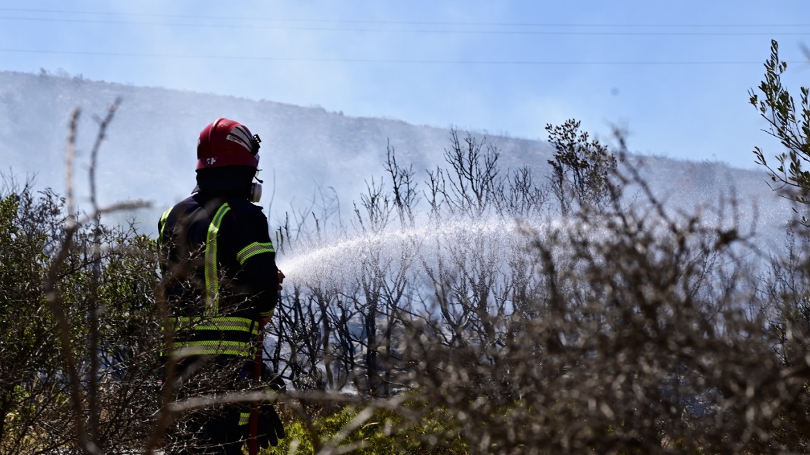 Υψηλός κίνδυνος φωτιάς σε Αττική, Εύβοια - Σε μια ώρα οριοθετήθηκε η πυρκαγιά στην Κερατέα, διάσπαρτες εστίες σε Ροδόπη, Αχαΐα