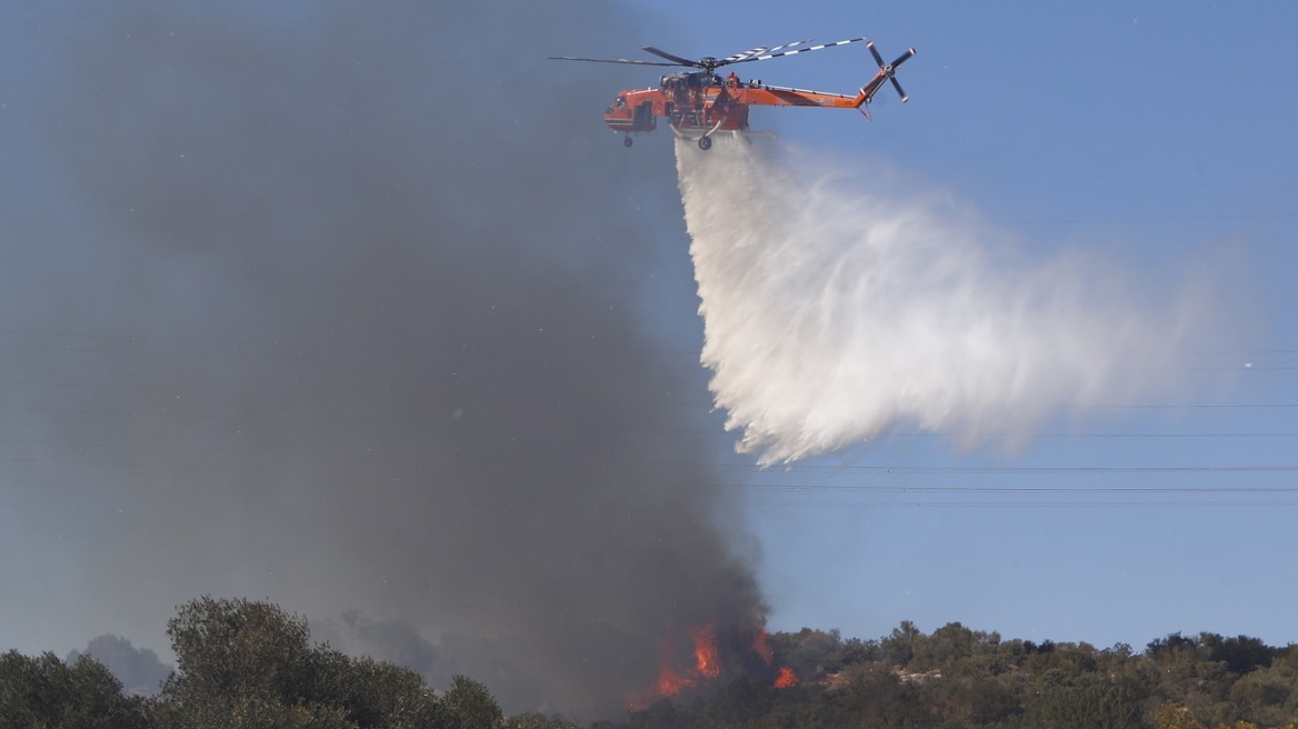 Υπό έλεγχο οι φωτιές σε Λακωνία, Τζουμέρκα και Πιερία