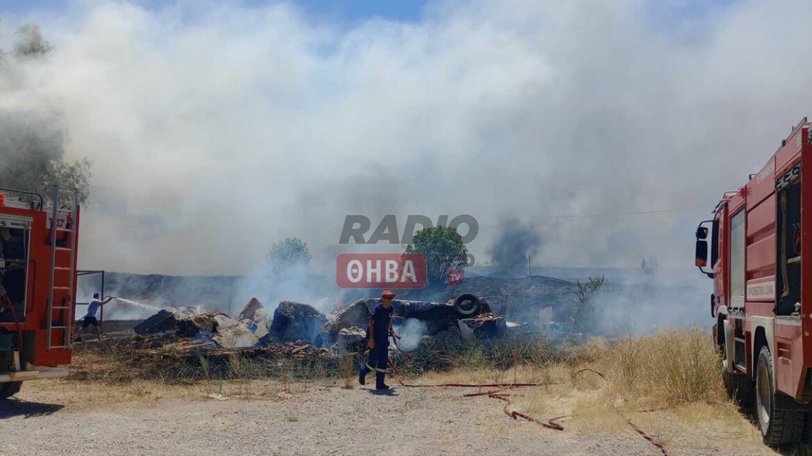 Υπό έλεγχο η φωτιά σε αγροτική περιοχή στη Θήβα