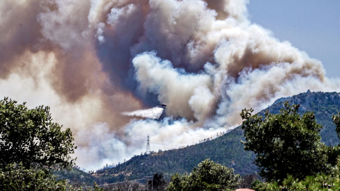 Φωτιά μέσα στο δάσος της Πάρνηθας, κατευθύνεται προς Τατόι - Δείτε βίντεο