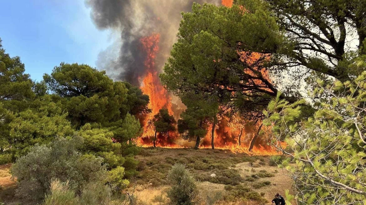 Χωρίς ενεργό μέτωπο οι φωτιές σε Σταμάτα και Κερατέα - Σε εξέλιξη πυρκαγιές σε Ζάκυνθο και Δίστομο