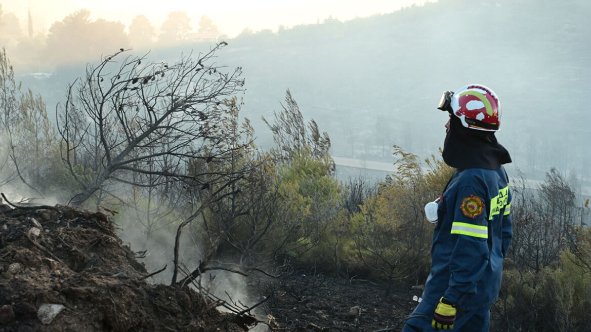 Χωρίς ενεργό μέτωπο η πυρκαγιά στη Σταμάτα, διάσπαρτες εστίες στην Κερατέα - Σε εξέλιξη οι φωτιές σε Ζάκυνθο και Δίστομο