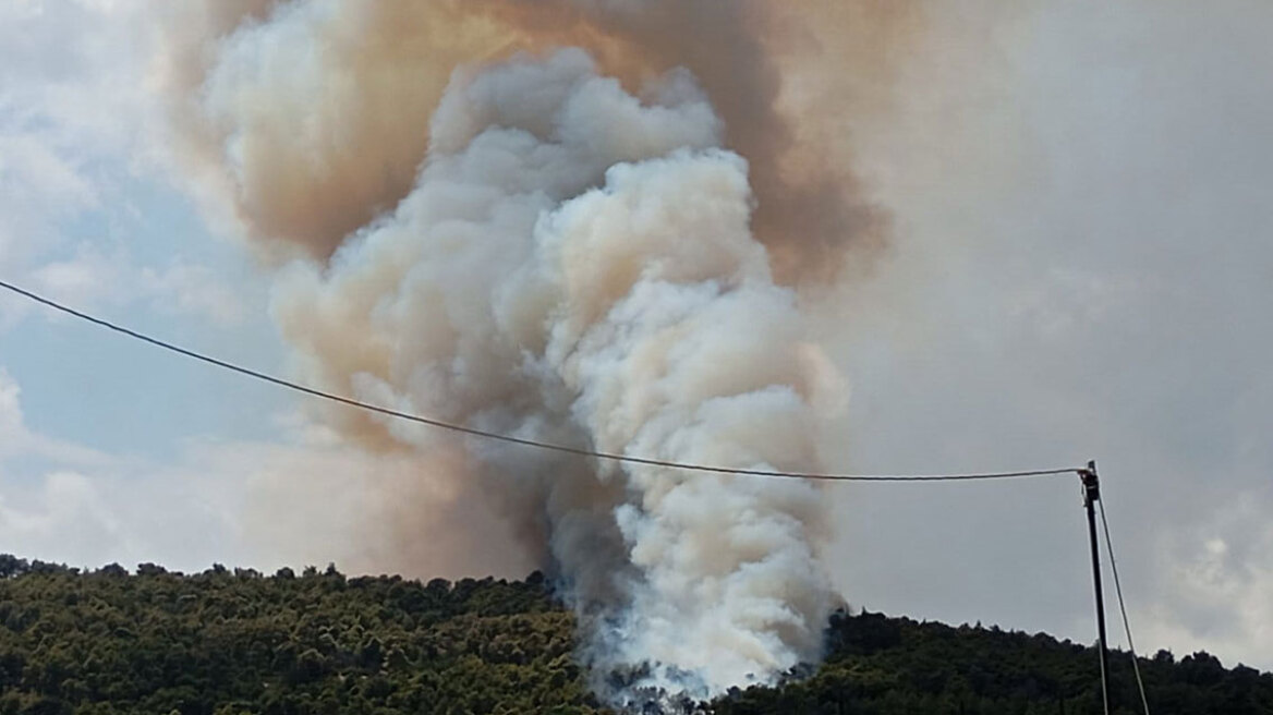 Φωτιά στα Γλυκά Νερά: Δίωξη για πλημμέλημα για διοικητικό πρόστιμο €4.675 στον 35χρονο συλληφθέντα