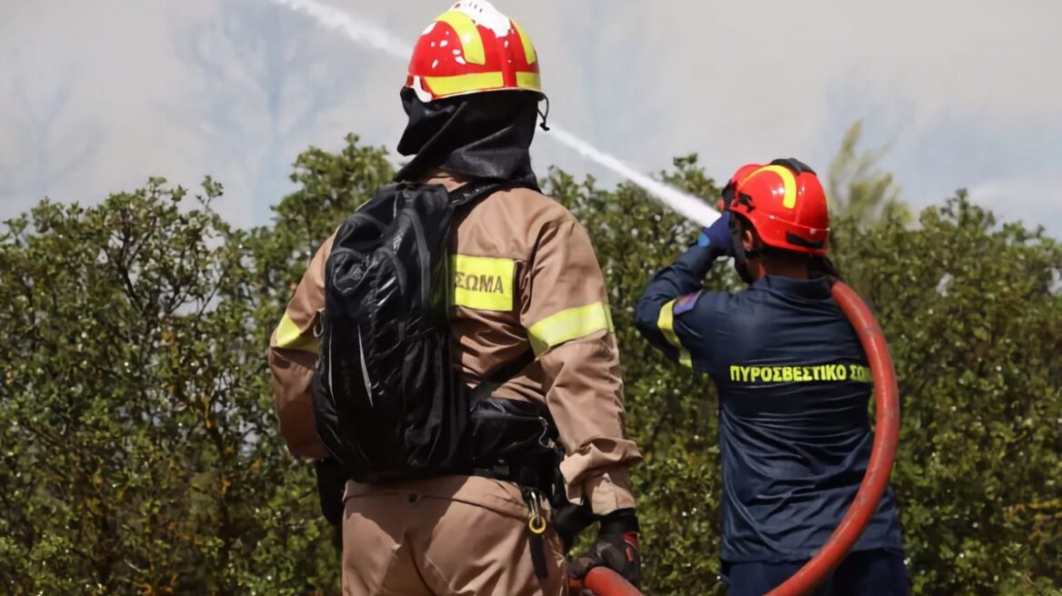 Λάρισα: Πρώην εποχικός δασοπυροσβέστης συνελήφθη για 12 εμπρησμούς από πρόθεση στον Αμπελώνα