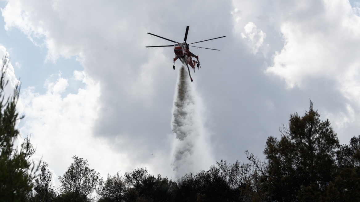 Μεγάλη φωτιά στην περιοχή Κοκκινόβραχος Φθιώτιδας - Σηκώθηκαν 6 αεροσκάφη και ένα ελικόπτερο