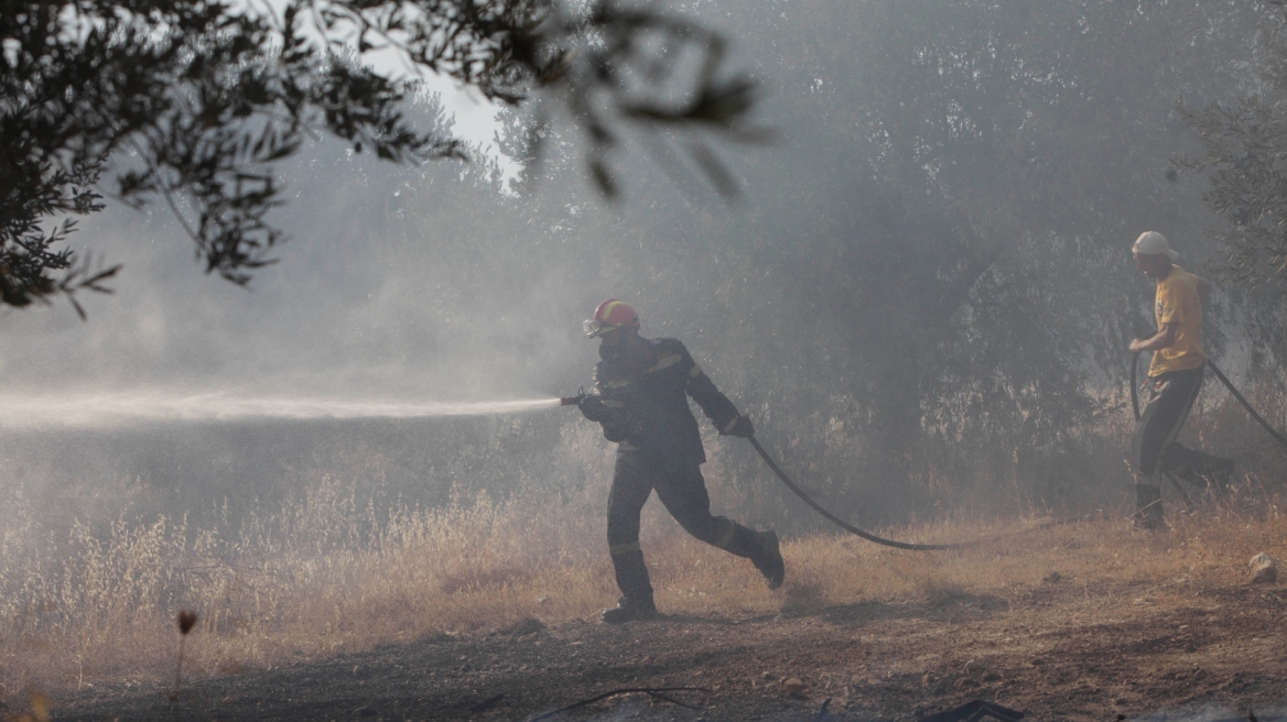 Φωτιά: Υπό μερικό έλεγχο η πυρκαγιά σε δασική έκταση στην Αγναντιά Καλαμπάκας