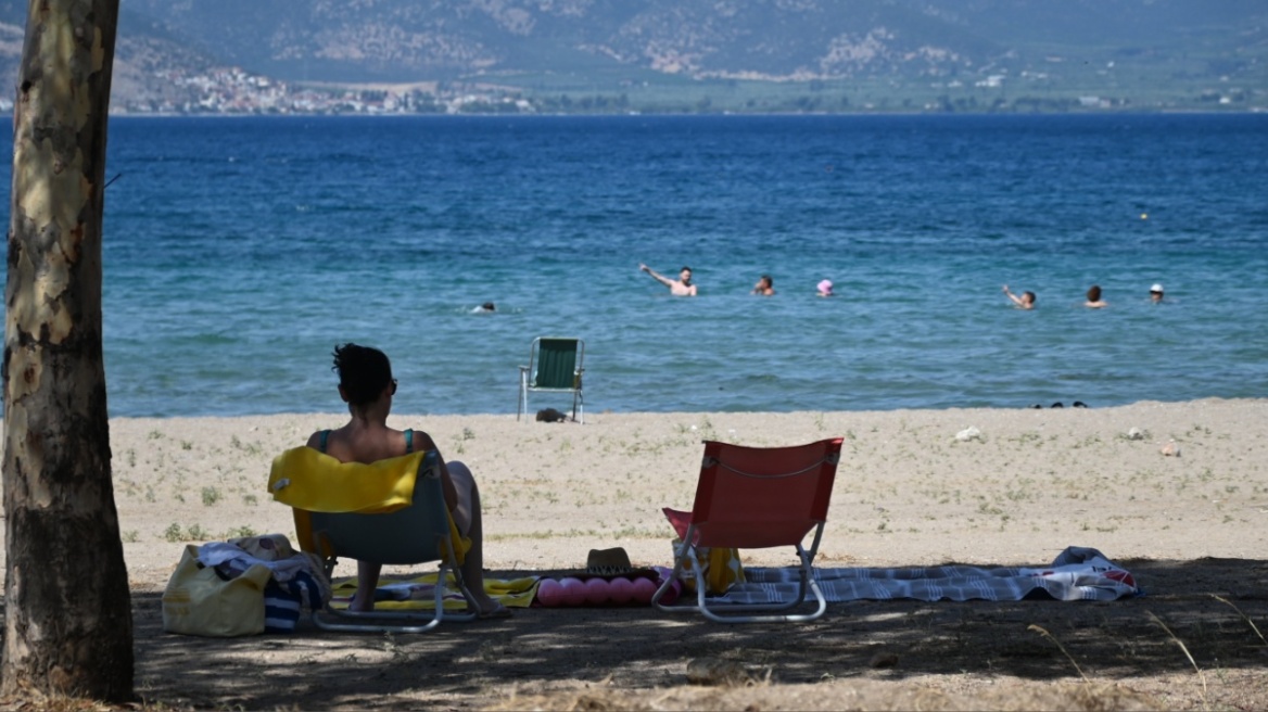 Καιρός: Επιμένουν τα 40άρια και το μελτέμι - Σε ποιες περιοχές υπάρχει πολύ υψηλός κίνδυνος πυρκαγιάς 