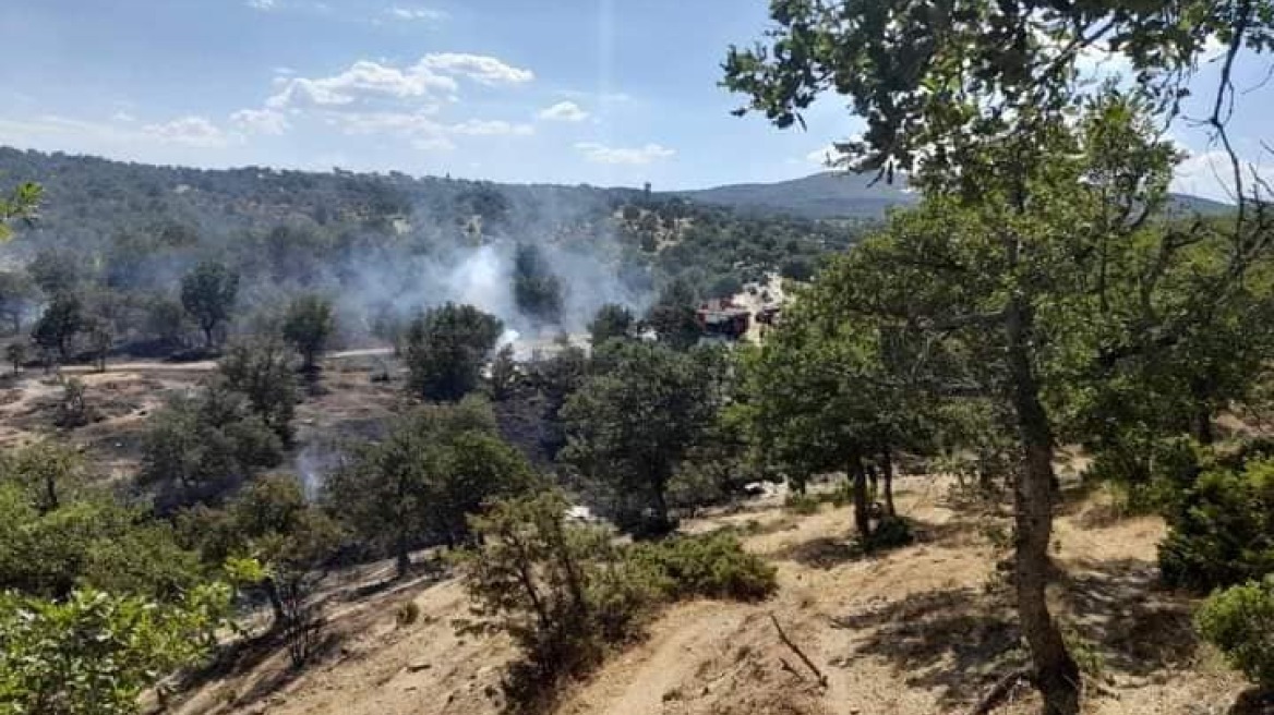 Υπό μερικό έλεγχο η φωτιά στο Σουφλί Έβρου - Δείτε βίντεο και φωτογραφίες