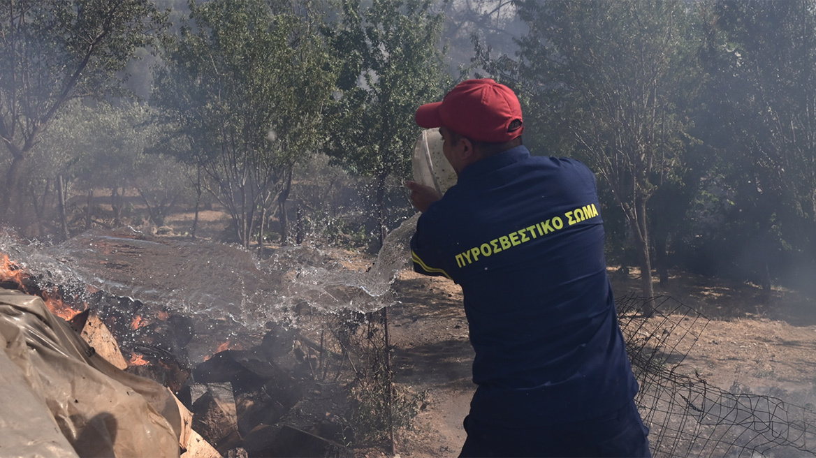 Απανθρακωμένη σορός βρέθηκε μέσα σε αυτοκίνητο στη Λέσβο - Φωτιά σε αγροτοδασική έκταση