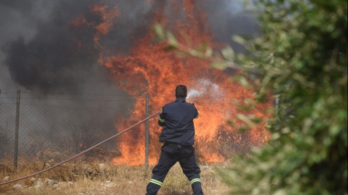 Υπό μερικό έλεγχο η πυρκαγιά σε δασική έκταση στη Δάφνη Βοιωτίας