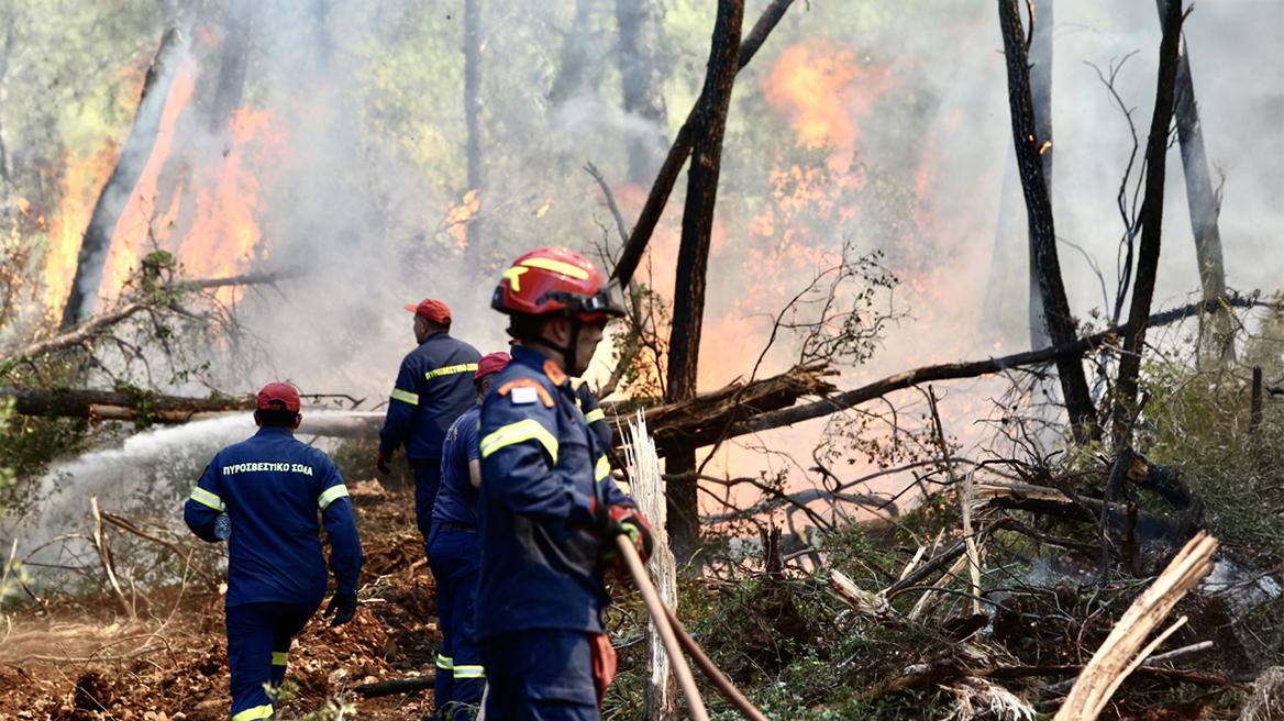 Φωτιά στο Σοφικό: Καλύτερη η εικόνα - Συνεχίζουν να επιχειρούν ισχυρές δυνάμεις της Πυροσβεστικής