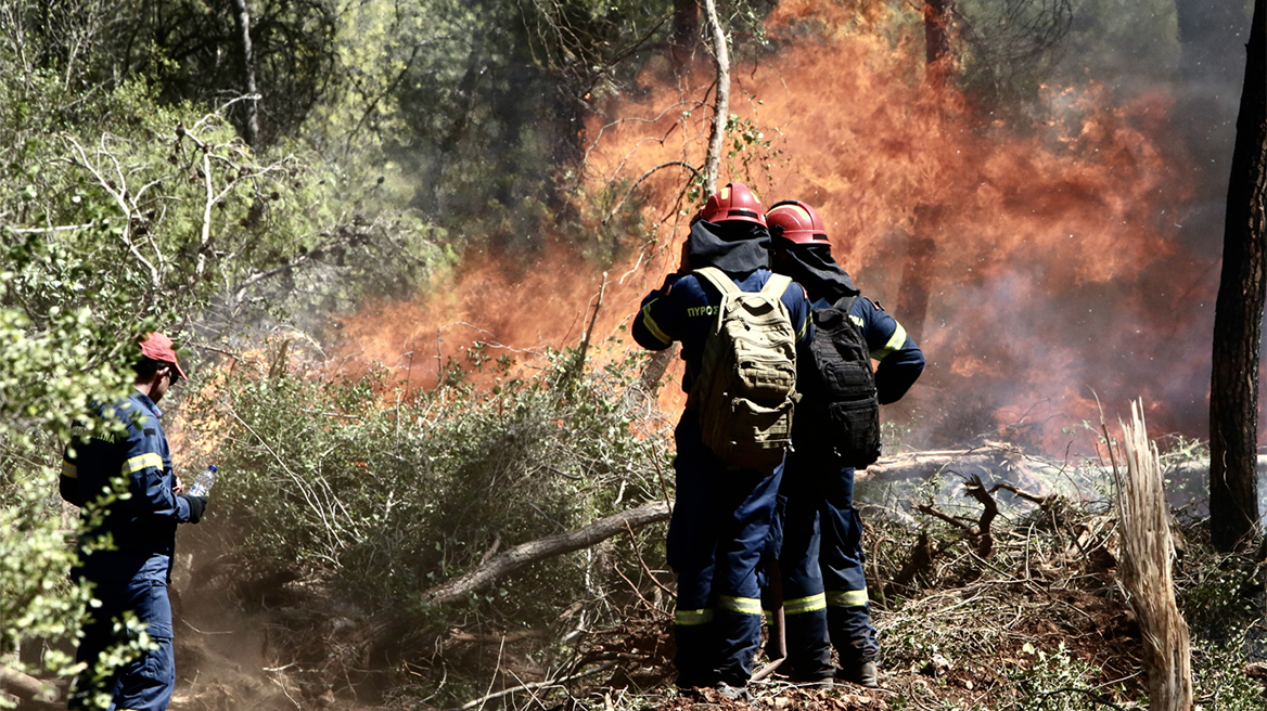 Φωτιά σε δασική έκταση στο Σοφικό Κορινθίας - Τραυματίστηκαν ελαφρά τρεις πυροσβέστες, δείτε βίντεο