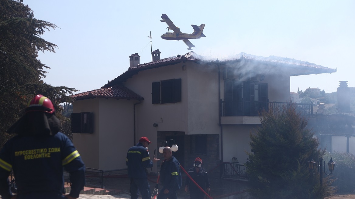 Πυροσβεστική: 52 πυρκαγιές το τελευταίο 24ωρο στη χώρα - Συνελήφθη ένα άτομο για τις φωτιές στη Στιμάγκα Κορινθίας