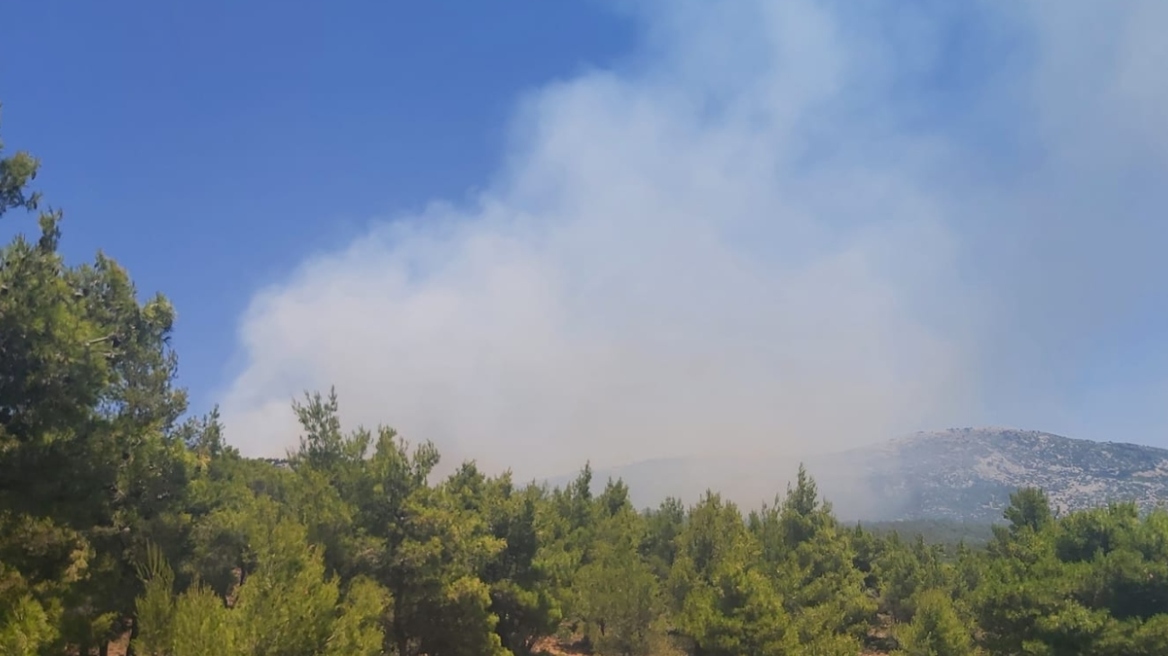 Χωρίς ενεργό μέτωπο η φωτιά στον Κιθαιρώνα κοντά στις Ερυθρές Αττικής 