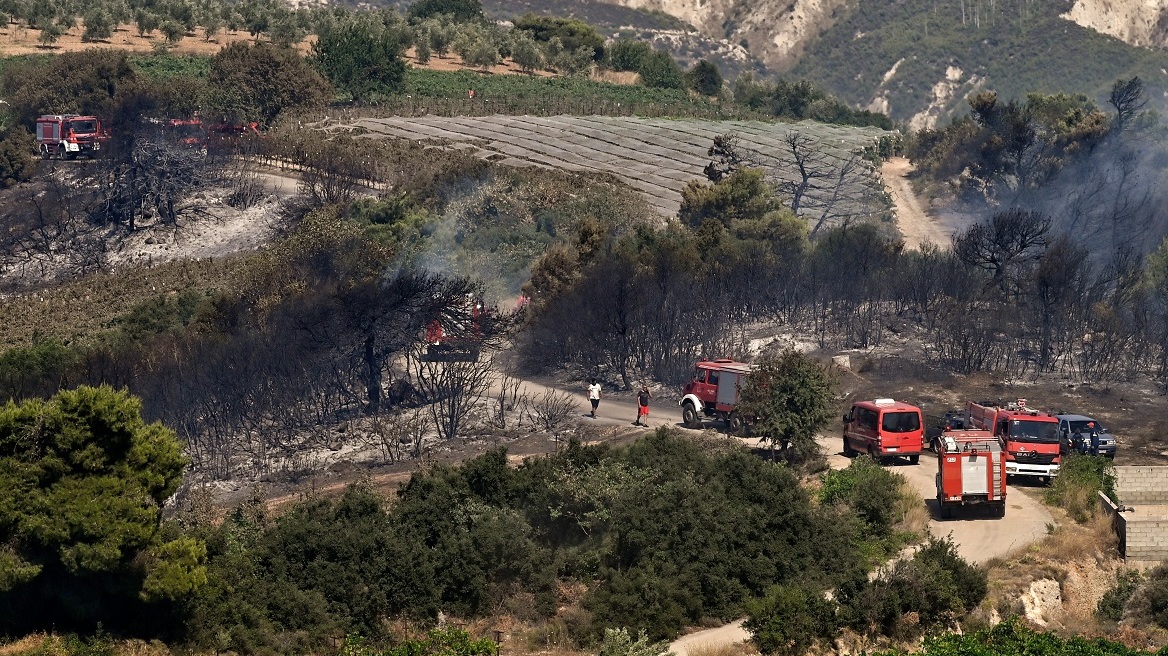 Στιμάγκα Κορινθίας: 37 μήνες φυλάκιση χωρίς αναστολή στον εμπρηστή για τη μεγάλη φωτιά στην περιοχή