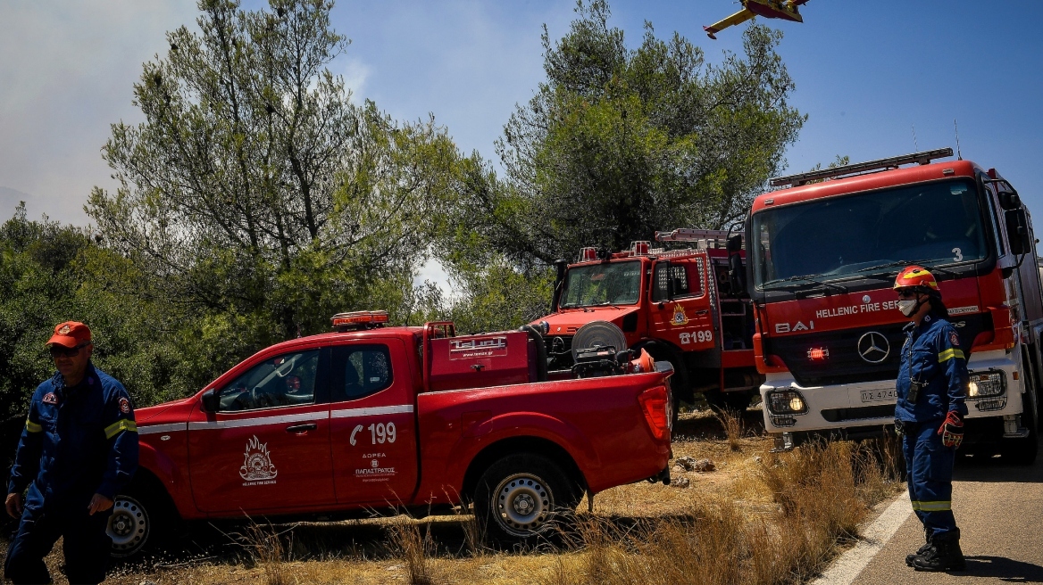 Μεσσηνία: Βελτιωμένη η εικόνα στην φωτιά στην Μεταμόρφωση