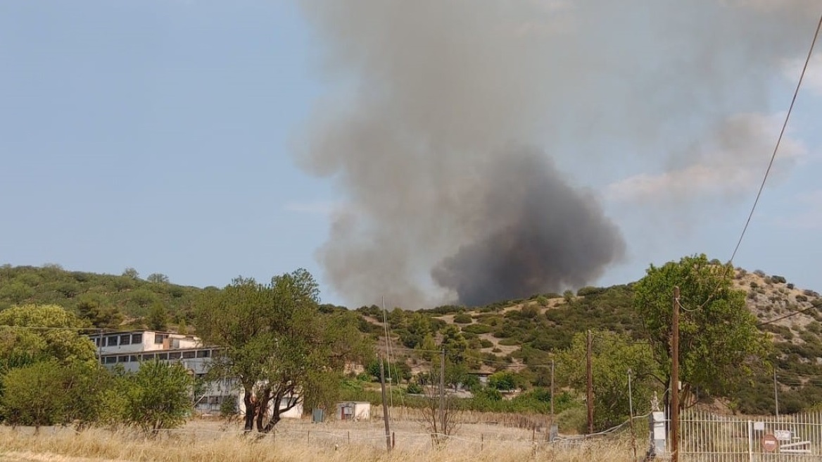 Χωρίς ενεργό μέτωπο η φωτιά στο Συκάμινο Ωρωπού - Στο νοσοκομείο εθελοντής πυροσβέστης λόγω εισπνοής καπνού, δείτε βίντεο