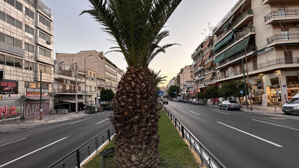 Κυκλοφοριακές ρυθμίσεις στη Λεωφόρο Θησέως έως και την Τετάρτη λόγω εργασιών