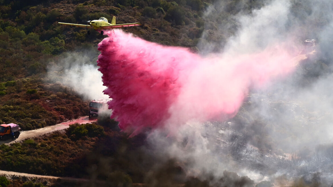 Φωτιά στην Εύβοια: Χωρίς ενεργό μέτωπο - Μάχη με τις αναζωπυρώσεις