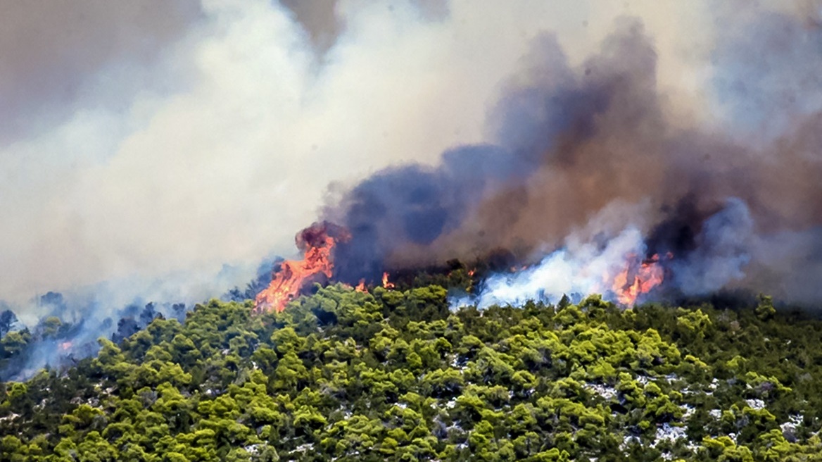 Φωτιά στην Εύβοια - Meteo: Σταδιακή εξασθένιση των άνεμων τις επόμενες ώρες