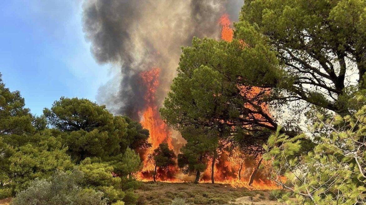 Πυροσβεστική: 44 φωτιές το τελευταίο 24ωρο - Οι 15 ήταν ιδιαιτέρως επικίνδυνες