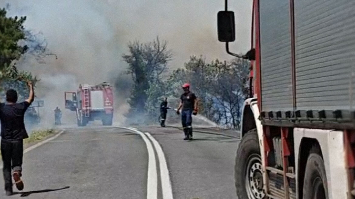 Φωτιά: Αναζοπυρώθηκε μέτωπο στο Πευκόδασος στο Κιλκίς