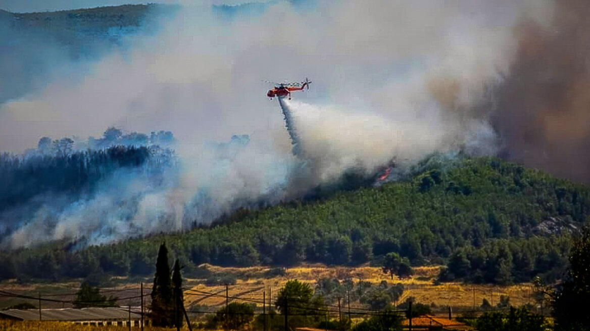 Χωρίς ενεργό μέτωπο η φωτιά στην Εύβοια - Μάχη με τις διάσπαρτες εστίες