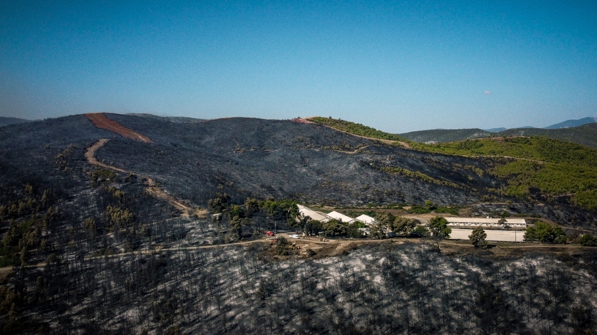 Φωτιά στην Εύβοια: Πάνω από 9.500 στρέμματα κάηκαν στον Πισσώνα