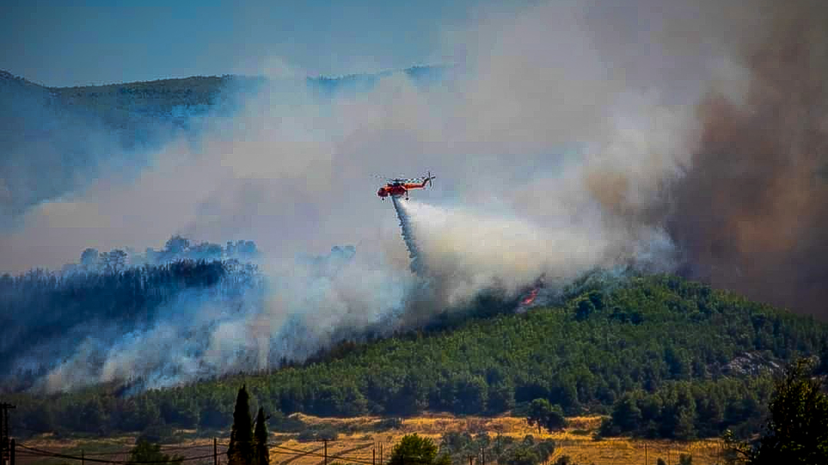 Φωτιά: Σε ποιες περιοχές είναι πολύ υψηλός ο κίνδυνος - Συστάσεις στους πολίτες