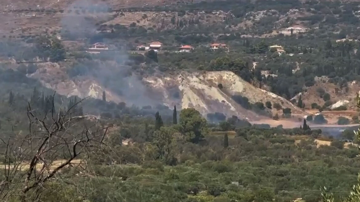 Έσβησε η φωτιά στα Χαβριάτα Κεφαλονιάς - Παραμένουν δυνάμεις της πυροσβεστικής στην περιοχή 