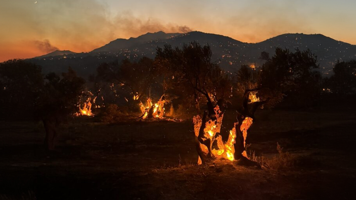 Φωτιά στο Ρέθυμνο: Μάχη με τις φλόγες σε τρία μέτωπα - Δασοκομάντος από την Αθήνα στο νησί