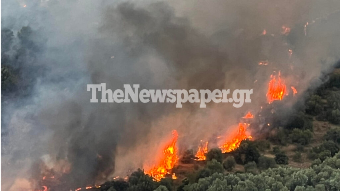 Υπό έλεγχο η φωτιά στο Φυτόκο Μαγνησίας - Δείτε φωτογραφίες