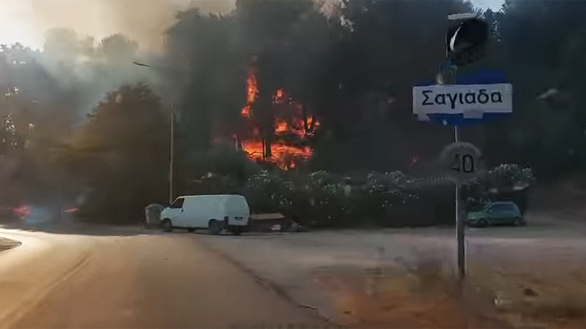 Οριοθετήθηκε η φωτιά στη Σαγιάδα Θεσπρωτίας 