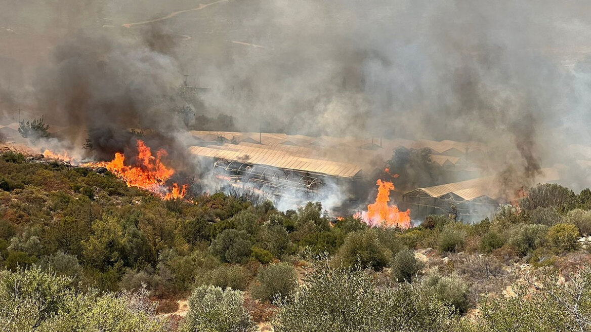 Φωτιά στην Αττική: Καίγονται τα φυτώρια του Μαραθώνα, στα 150 μέτρα από τα σπίτια οι φλόγες - Δείτε βίντεο και φωτογραφίες