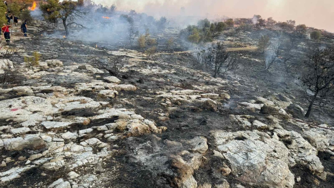 Φωτιά στην Τερψιθέα Γλυφάδας: Θέμα χρόνου η σύλληψη των δύο εμπρηστών λέει ο δήμαρχος